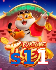 s11