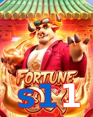 s11