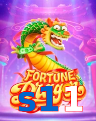 s11
