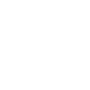 s11